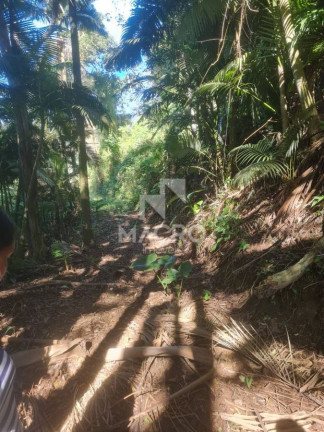 Imagem Chácara à Venda, em área Rural De Jaraguá Do Sul - Jaraguá Do Sul Imagem Chácara à Venda, em área Rural De Jaraguá Do Sul - Jaraguá Do Sul