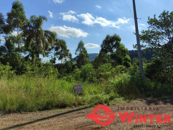 Imagem Chácara à Venda, 5 m² em Canto Lippert - Linha Nova Imagem Chácara à Venda, 5 m² em Canto Lippert - Linha Nova