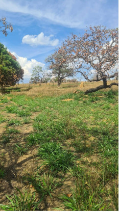 Imagem Fazenda à Venda, 1 m² em Girassol - Cocalzinho De Goiás Imagem Fazenda à Venda, 1 m² em Girassol - Cocalzinho De Goiás