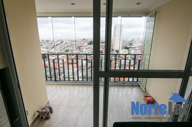 Imagem Apartamento com 2 Quartos à Venda, 70 m² em Vila Gustavo - São Paulo Imagem Apartamento com 2 Quartos à Venda, 70 m² em Vila Gustavo - São Paulo