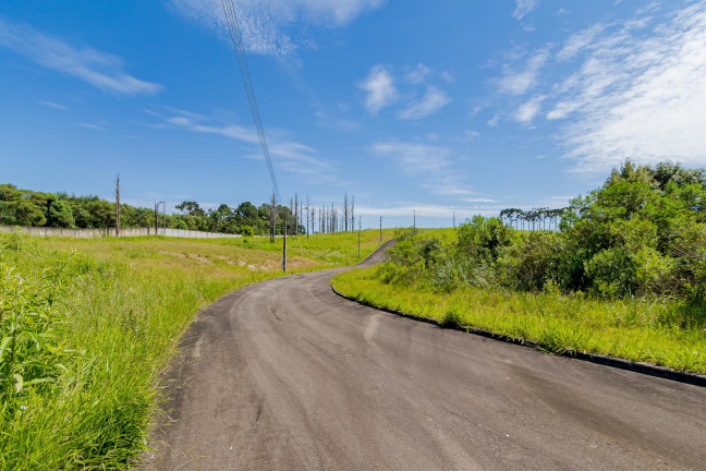 Imagem Terreno à Venda, 815 m² em Ferraria - Campo Largo Imagem Terreno à Venda, 815 m² em Ferraria - Campo Largo