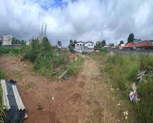 Imagem Terreno à Venda, 5.000 m² em Centro - Pinhais Imagem Terreno à Venda, 5.000 m² em Centro - Pinhais