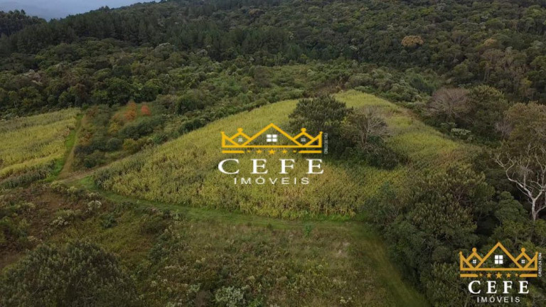 Imagem Sala Comercial à Venda, 200 m² em Serra Grande - Três Coroas