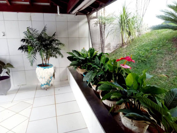 Imagem Chácara com 2 Quartos à Venda, 55.000 m² em Andradas Imagem Chácara com 2 Quartos à Venda, 55.000 m² em Andradas