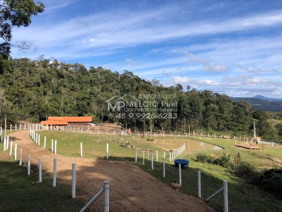 Imagem Imóvel com 4 Quartos à Venda,  em Arnópolis - Alfredo Wagner Sc
