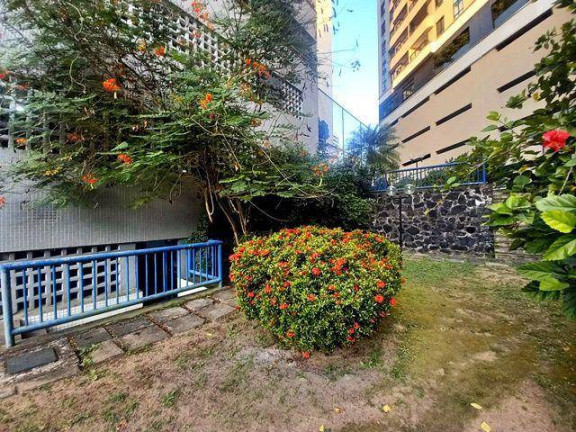 Imagem Imóvel com 4 Quartos à Venda, 387 m² em Pituba - Salvador
