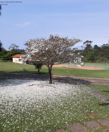 Imagem Imóvel com 5 Quartos à Venda, 1.300 m² em Itinga - Sorocaba Imagem Imóvel com 5 Quartos à Venda, 1.300 m² em Itinga - Sorocaba