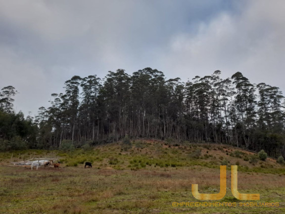Imagem Terreno à Venda, 100 m² em Alto Cedros - Rio Dos Cedros Imagem Terreno à Venda, 100 m² em Alto Cedros - Rio Dos Cedros