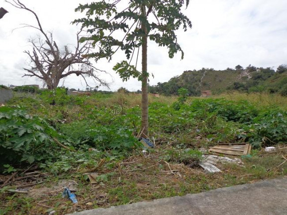 Imagem Terreno à Venda, 4 m²em Abrantes - Camaçari