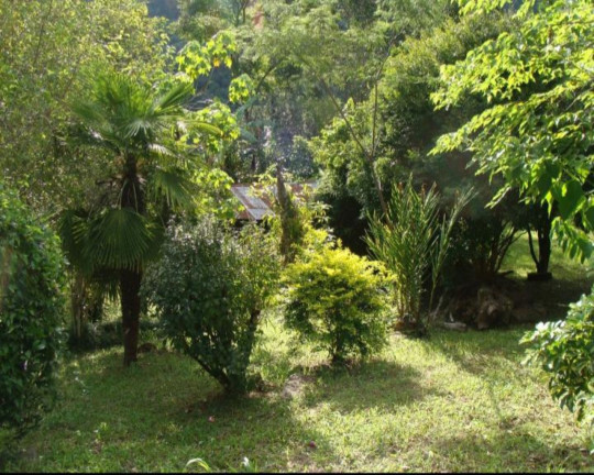 Imagem Imóvel à Venda, em Linha Pirajá Baixa - Nova Petrópolis Imagem Imóvel à Venda, em Linha Pirajá Baixa - Nova Petrópolis