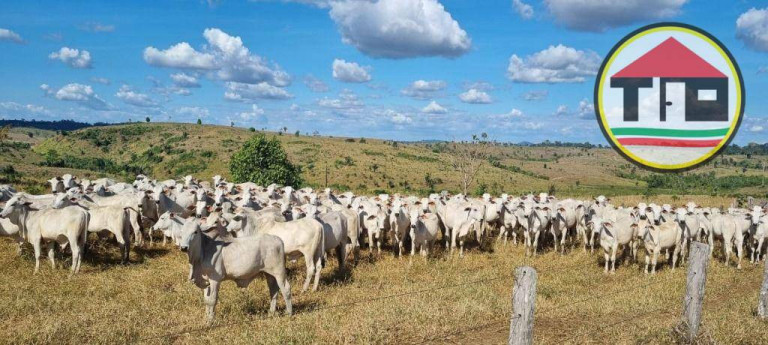 Imagem Fazenda à Venda, 17.085.200 m² em Zona Rural - Itupiranga Imagem Fazenda à Venda, 17.085.200 m² em Zona Rural - Itupiranga