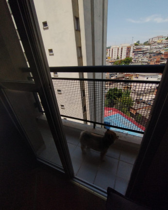 Imagem Apartamento com 2 Quartos à Venda, 54 m² em Vila Das Belezas - São Paulo