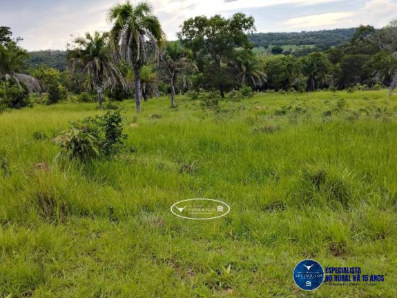 Imagem Chácara à Venda, 22 m² em Zona Rural - Iporá Imagem Chácara à Venda, 22 m² em Zona Rural - Iporá