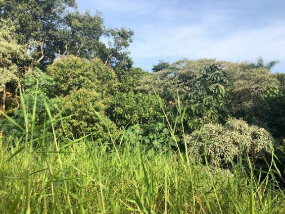 Imagem Terreno à Venda, 674 m² em Chácara Moinho Velho - Carapicuíba Imagem Terreno à Venda, 674 m² em Chácara Moinho Velho - Carapicuíba