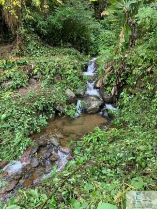 Imagem Chácara à Venda, 126.000 m² em Centro (rio Rosinha) - Rio Dos Cedros
