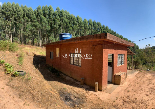 Imagem Imóvel com 1 Quarto à Venda, 4.000 m² em Itapeva - Itapeva Imagem Imóvel com 1 Quarto à Venda, 4.000 m² em Itapeva - Itapeva