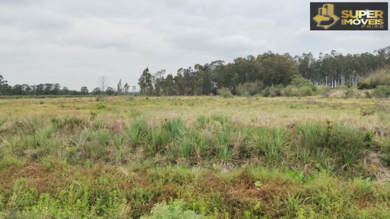Imóvel à Venda, 20.000 m² em Fragata - Pelotas