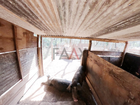 Imagem Fazenda à Venda, 24.200 m² em Morro Alto - Guarapuava Imagem Fazenda à Venda, 24.200 m² em Morro Alto - Guarapuava