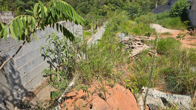 Imagem Terreno em Condomínio à Venda, 500 m² em Jundiaizinho (terra Preta) - Mairiporã Imagem Terreno em Condomínio à Venda, 500 m² em Jundiaizinho (terra Preta) - Mairiporã