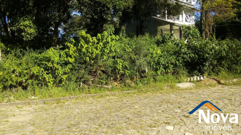 Imagem Imóvel à Venda, 750 m² em Juriti - Nova Petrópolis Imagem Imóvel à Venda, 750 m² em Juriti - Nova Petrópolis