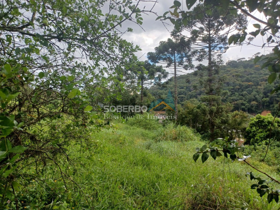 Imagem Imóvel com 3 Quartos à Venda, 16.000 m² em Vargem Grande - Teresópolis Imagem Imóvel com 3 Quartos à Venda, 16.000 m² em Vargem Grande - Teresópolis