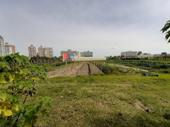 Imagem Imóvel à Venda, 585 m² em Pedra Branca - Palhoça Imagem Imóvel à Venda, 585 m² em Pedra Branca - Palhoça