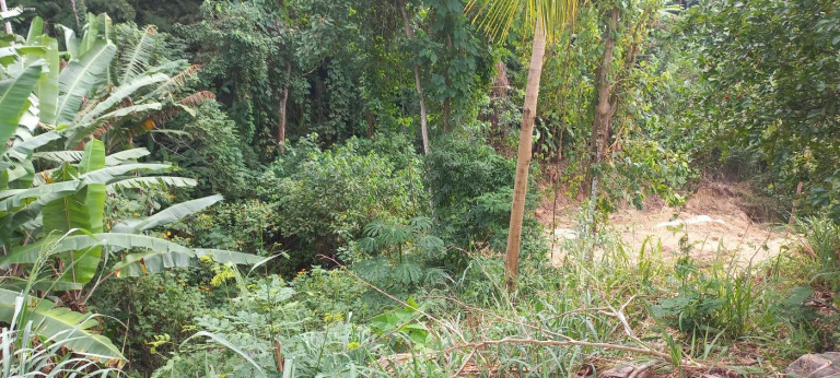 Imagem Terreno à Venda, 456 m² em São Francisco Da Praia - São Sebastião Imagem Terreno à Venda, 456 m² em São Francisco Da Praia - São Sebastião