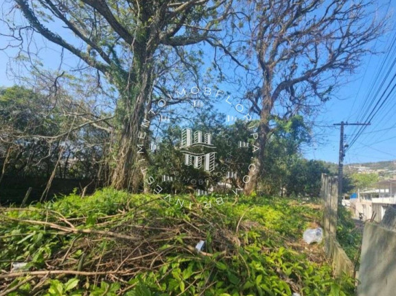 Imagem Terreno à Venda, 1.750 m² em Agronômica - Florianópolis Imagem Terreno à Venda, 1.750 m² em Agronômica - Florianópolis