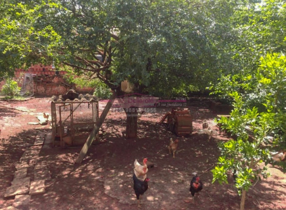 Imagem Chácara com 7 Quartos à Venda, 500 m² em Portal Das Nogueiras - Tatuí