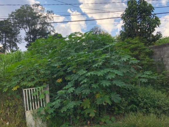 Imagem Terreno à Venda, 780 m² em Jardim Rebelato - Cotia Imagem Terreno à Venda, 780 m² em Jardim Rebelato - Cotia