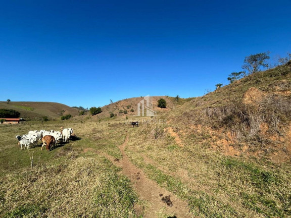 Imagem Chácara com 1 Quarto à Venda, 60.500 m² em Angola - Santa Branca Imagem Chácara com 1 Quarto à Venda, 60.500 m² em Angola - Santa Branca