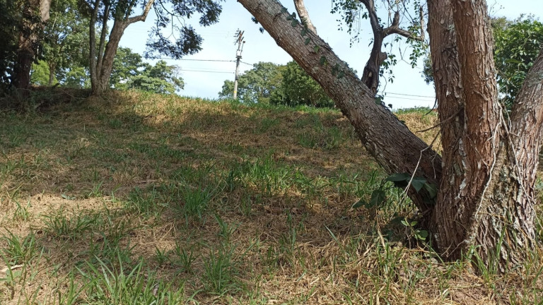 Imagem Chácara à Venda, 1.000 m² em Canaã I - Jambeiro Imagem Chácara à Venda, 1.000 m² em Canaã I - Jambeiro