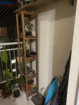 Imagem Apartamento com 3 Quartos à Venda, 64 m² em Mooca - São Paulo Imagem Apartamento com 3 Quartos à Venda, 64 m² em Mooca - São Paulo