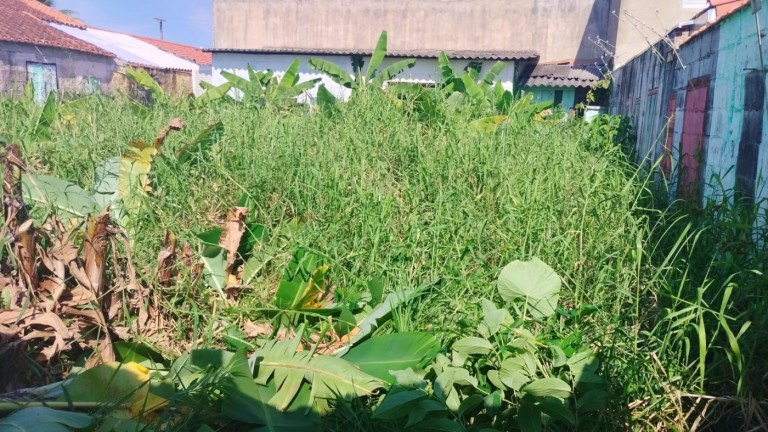 Imagem Terreno à Venda, 240 m² em Jamaica (praia) - Itanhaém Imagem Terreno à Venda, 240 m² em Jamaica (praia) - Itanhaém