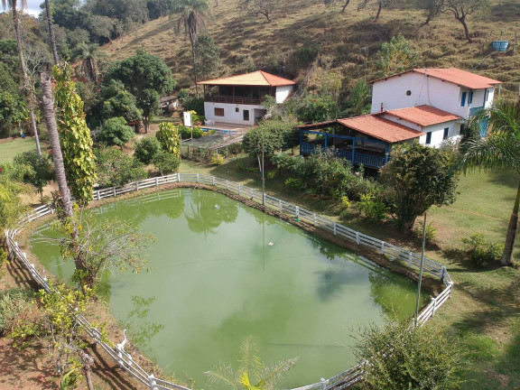 Chácara com 6 Quartos à Venda, 10.000 m² em Amaral - Nova Serrana