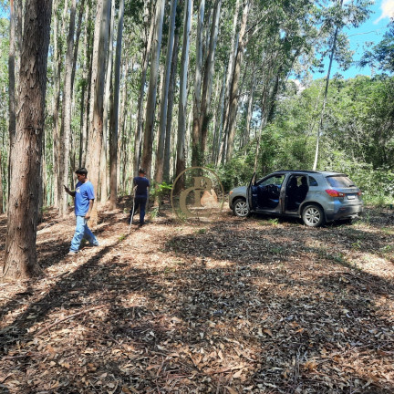 Imagem Fazenda à Venda, 100 m² em Lagoa - Paraibuna