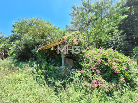 Imagem Imóvel com 4 Quartos à Venda, 110 m² em Chácara Santa Margarida - Campinas Imagem Imóvel com 4 Quartos à Venda, 110 m² em Chácara Santa Margarida - Campinas