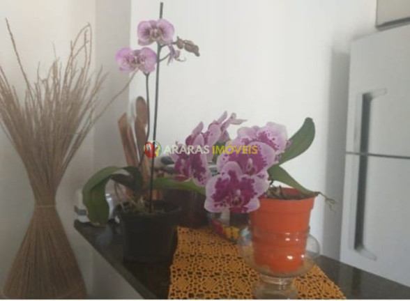 Imagem Apartamento com 2 Quartos à Venda, 55 m² em Maitinga - Bertioga Imagem Apartamento com 2 Quartos à Venda, 55 m² em Maitinga - Bertioga