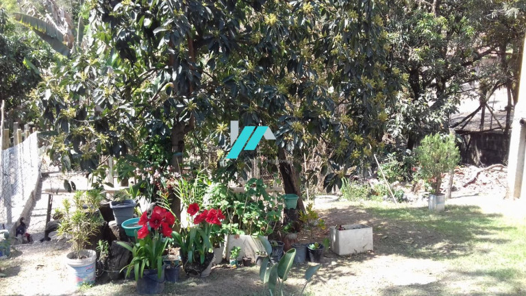 Imagem Fazenda à Venda, 2.000 m² em Casa Amarela (charneca) - Betim Imagem Fazenda à Venda, 2.000 m² em Casa Amarela (charneca) - Betim