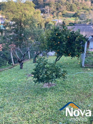 Imagem Imóvel com 3 Quartos à Venda, em Logradouro - Nova Petrópolis Imagem Imóvel com 3 Quartos à Venda, em Logradouro - Nova Petrópolis