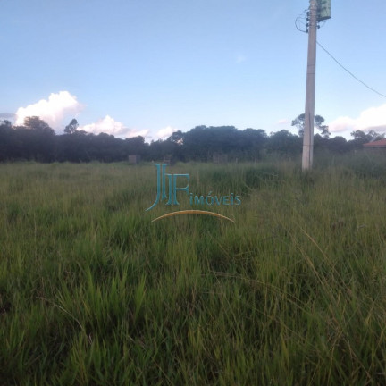 Imagem Imóvel com 4 Quartos à Venda, 105.000 m² em Centro - Cajuru Imagem Imóvel com 4 Quartos à Venda, 105.000 m² em Centro - Cajuru
