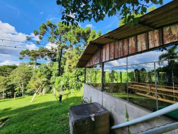 Imagem Imóvel com 3 Quartos à Venda, 51.000 m² em Campo Largo Da Roseira - São José Dos Pinhais Imagem Imóvel com 3 Quartos à Venda, 51.000 m² em Campo Largo Da Roseira - São José Dos Pinhais