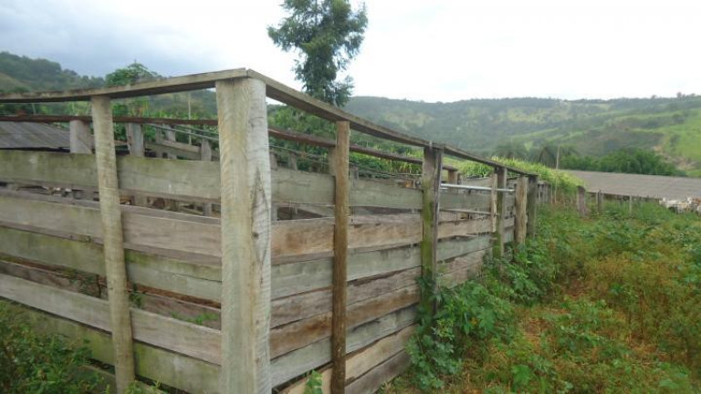 Imagem Fazenda à Venda, 60 m² em Azurita - Mateus Leme