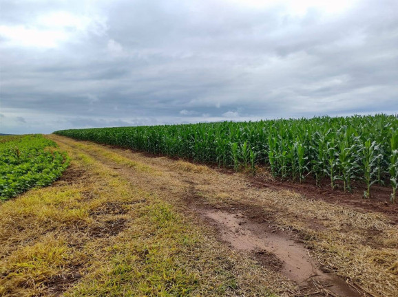 Imagem Chácara à Venda, 133 m² em Ribeirão Bonito - Tejupá Imagem Chácara à Venda, 133 m² em Ribeirão Bonito - Tejupá