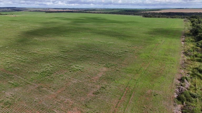 Imagem Fazenda à Venda, 195 m² em Zona Rural - Uberlândia Imagem Fazenda à Venda, 195 m² em Zona Rural - Uberlândia