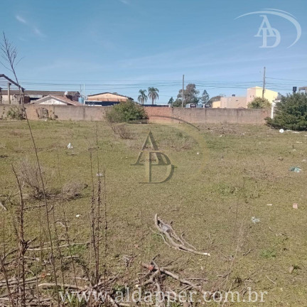 Terreno à Venda, 3.500 m² em Vila Maria José - Rio Grande