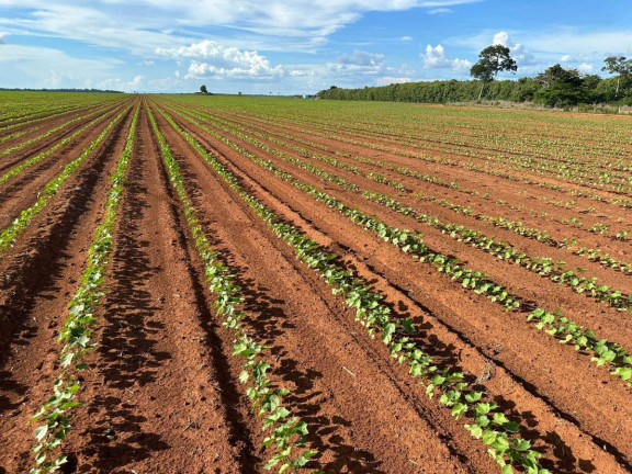 Imagem Fazenda à Venda, 9.700 m² em Rural - Pontes E Lacerda
