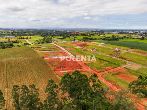 Imagem Terreno à Venda, 360 m² em Primeira Linha - Criciúma