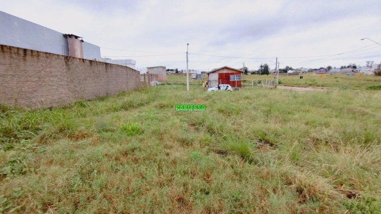 Imagem Terreno à Venda, 315 m² em Pinheiro Machado - Santa Maria Imagem Terreno à Venda, 315 m² em Pinheiro Machado - Santa Maria
