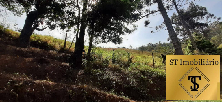 Imagem Chácara com 3 Quartos à Venda, 72.000 m² em Estância Santa Maria Do Portão - Atibaia